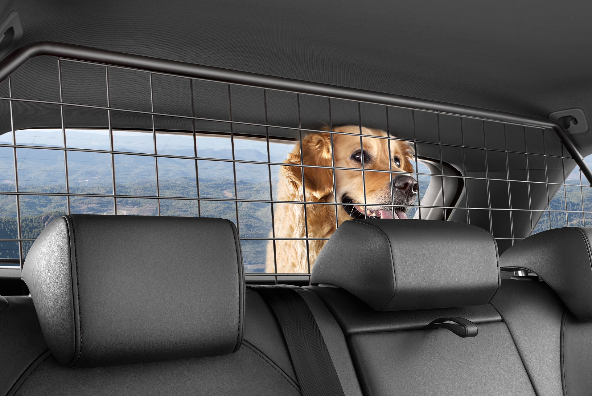 a dog behind the separation grille accessory for the new cupra leon sportstourer.