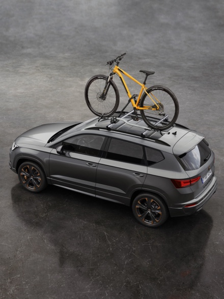 Specially created bike roof rack.